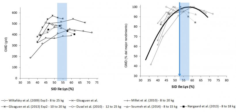 Figura 1: Resultados&nbsp; del crecimiento en lechones obtenidos en distintos estudios seg&uacute;n distintos ratio Ile:Lys DIS . El crecimiento se expresa en valor absoluto o como porcentaje del mejor crecimiento. Fuente: Ajinomoto Animal Nutrition Europe
